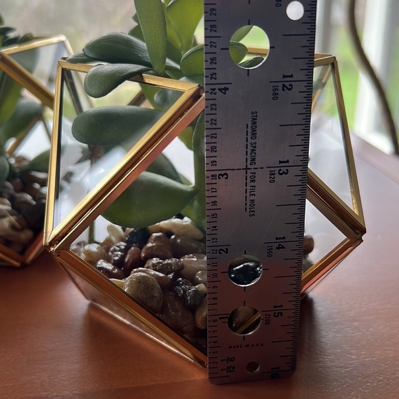 Set of 2 Opalhouse Filled Terrarium Faux Succulent Plant 4”x4” - Picture 6 of 9